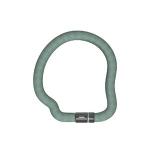 Abus-Goose-Lock-6206K-110-Kettenschloss.jpg