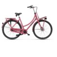 Batavus-PACKD-Plus-7-1.jpg