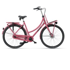 Batavus PACKD Plus 7 - 2023 - 28 Zoll - Doppelrohr