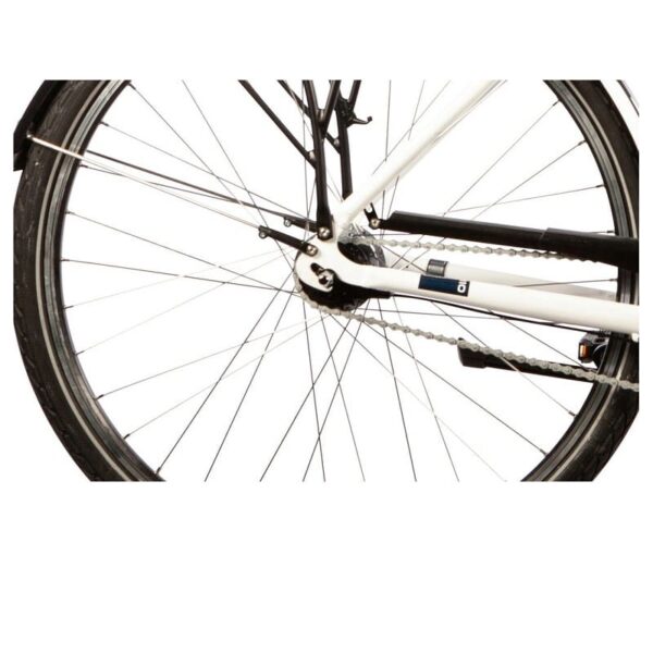 Carver-Cityzen-110-1-5.jpg Carver-Cityzen-110-1-5.jpg