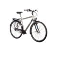 Carver-Cityzen-110-Ebikes-1-1.jpg