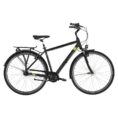 Carver-Cityzen-120-Ebikes-1.jpg