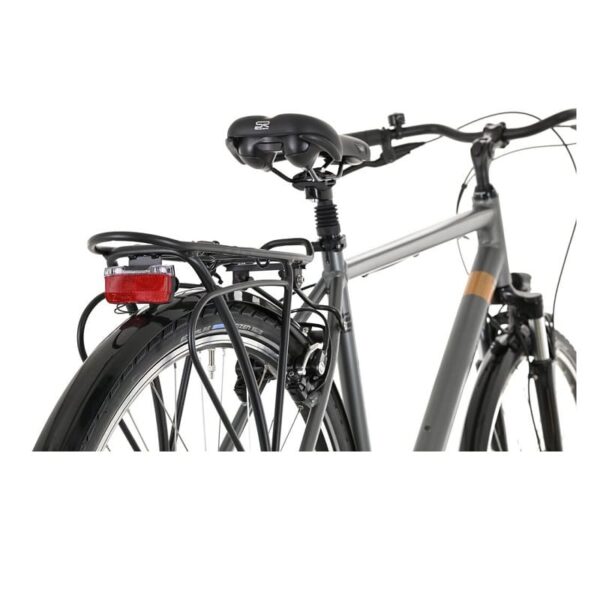 Carver-Cityzen-130-Ebikes-1-1.jpg