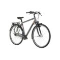 Carver-Cityzen-130-Ebikes-1-4.jpg