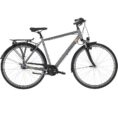Carver-Cityzen-130-Ebikes.jpg
