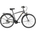 Carver-Cityzen-140-LTD-RT-Ebikes.jpg