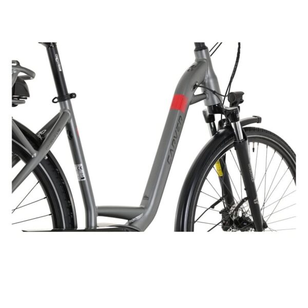 Carver-Cityzen-E-LTD-FL-.jpg Carver-Cityzen-E-LTD-FL-.jpg