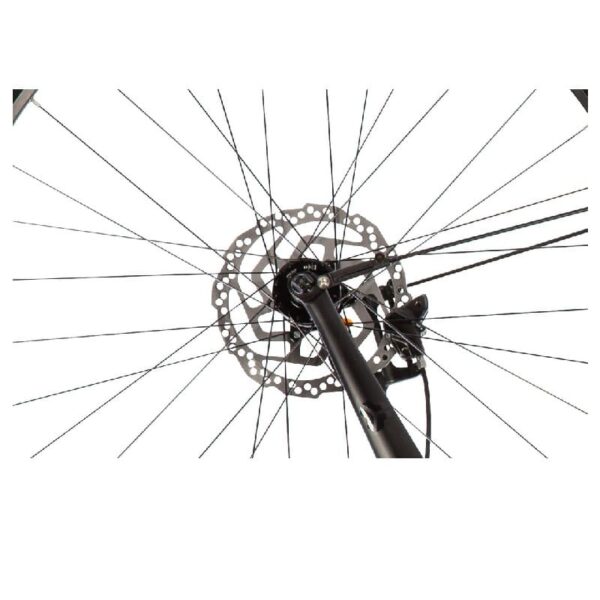 Carver-Lyfe-120-R08-1-2.jpg Carver-Lyfe-120-R08-1-2.jpg