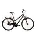 Carver-Tour-100-n-Ebikes-1.jpg