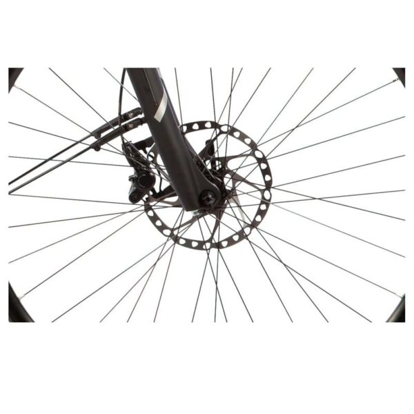 Carver-Tour-E.340-1-1.jpg Carver-Tour-E.340-1-1.jpg