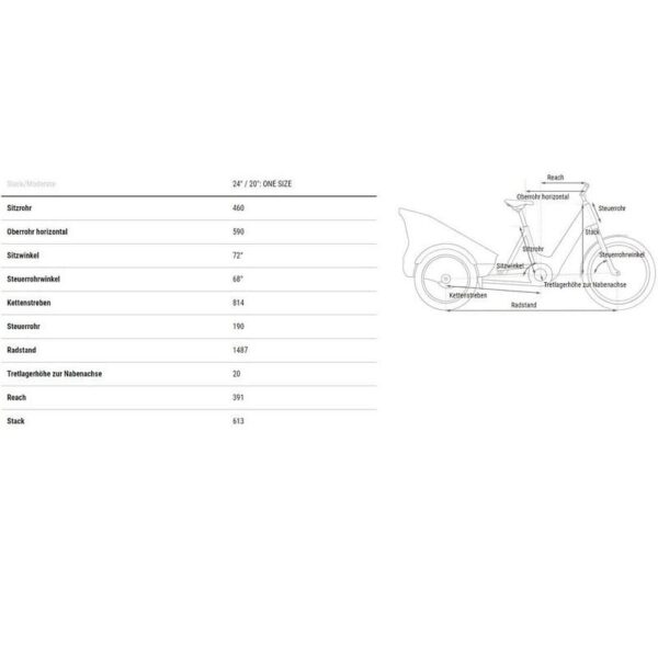 Cube-Trike-Hybrid-Cargo-1500.jpg