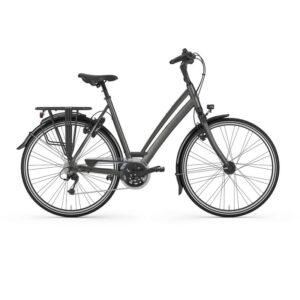 Gazelle Chamonix T30 - 2023 - 28 Zoll - Tiefeinsteiger