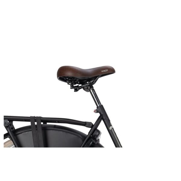 Gazelle-Classic-RT-.jpg Gazelle-Classic-RT-.jpg