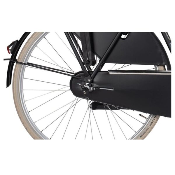 Gazelle-Classic-RT-1-2.jpg Gazelle-Classic-RT-1-2.jpg