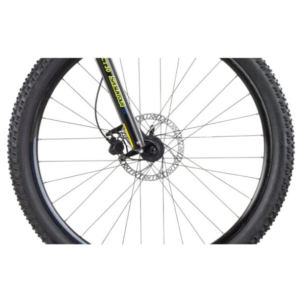 Raymon-HardRay-E-1.0-1-4.jpg Raymon-HardRay-E-1.0-1-4.jpg